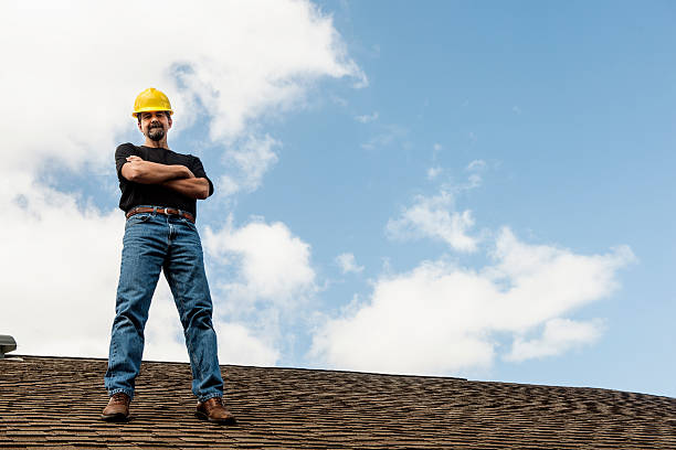 Best Roof Gutter Cleaning  in Reston, VA